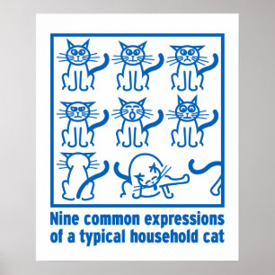 Poster das expressões do gato