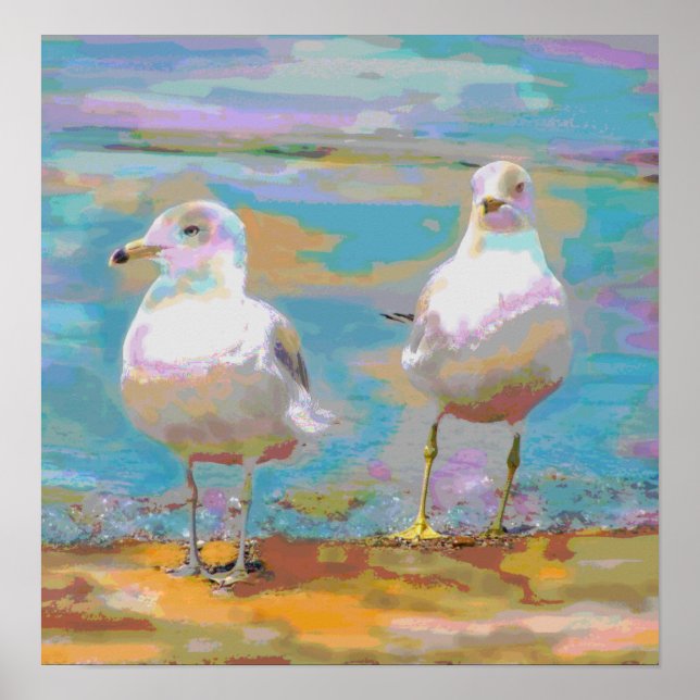 Poster das gaivotas oceânicas (Frente)