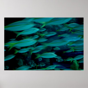 Poster das "horas de ponta"