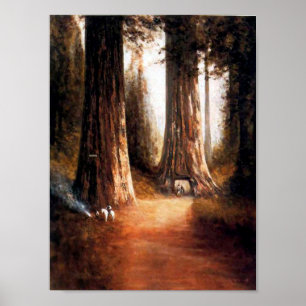 Poster das Sequoias Gigantes