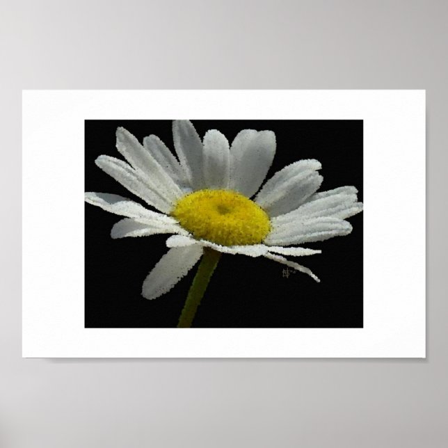 Poster Dasiy (Frente)