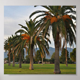 Pôster Data-árvores deliciosas