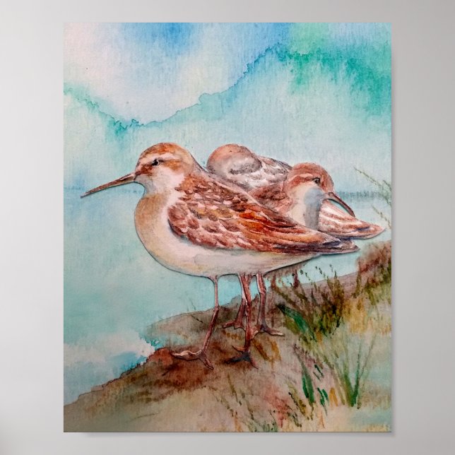 Poster Datas, Sandpiper de Aquarelas Shore Beach Art (Frente)