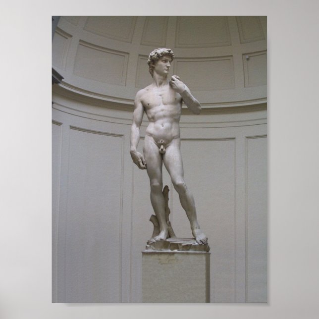 Pôster David (Frente)