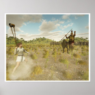 Poster David e Goliath