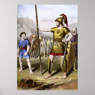 Poster David e Goliath