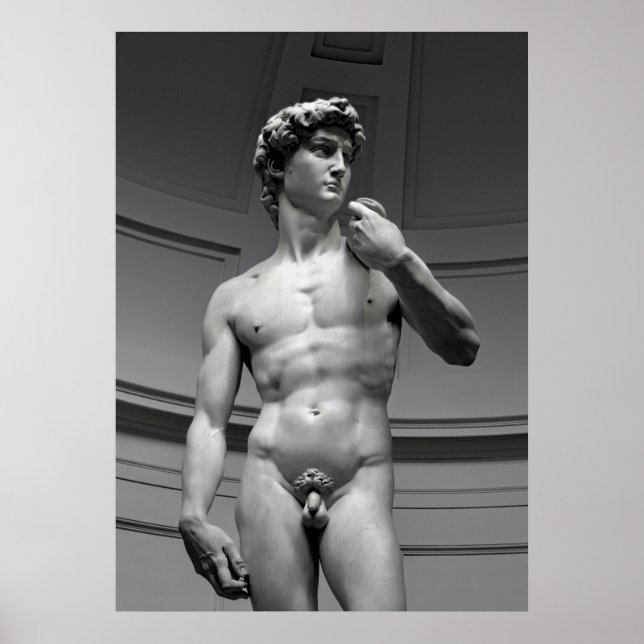Poster DAVID por MICHELANGELO (Frente)