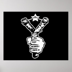 Poster David's Slingshot