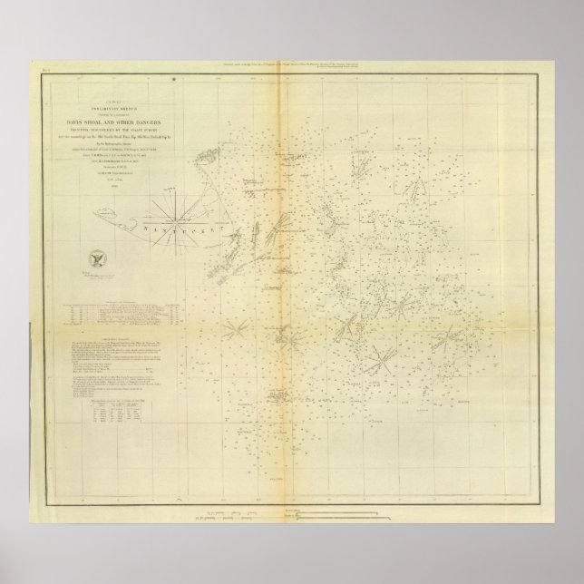 Pôster Davis' Shoal (Frente)