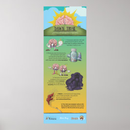 Poster Dawn Trial Infográfico