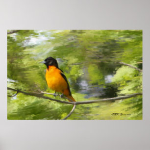 Poster DayDream dos Baltimore Orioles