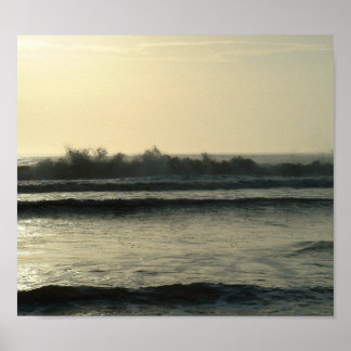 Pôster Daytona Waves