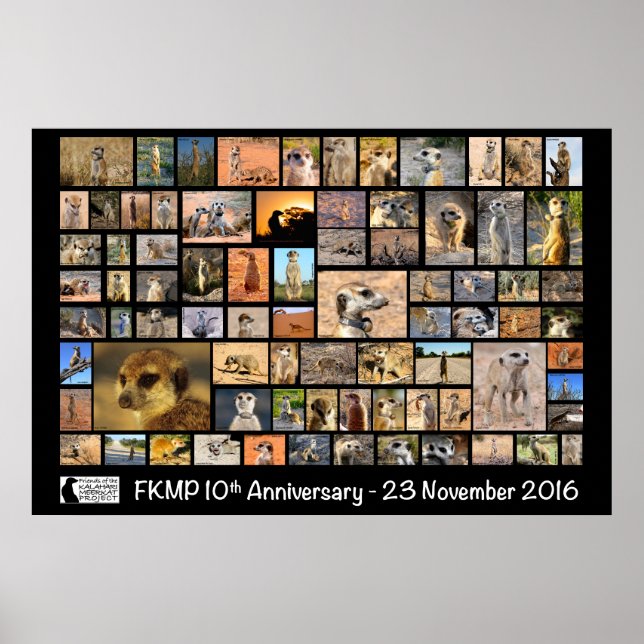 Poster de 10 anos do FKMP - selecione seu tamanho (Frente)