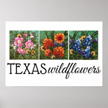 poster de 16,5" x 11" do Texas Wildflower