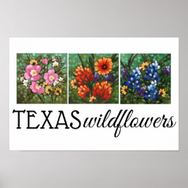 poster de 16,5" x 11" do Texas Wildflower