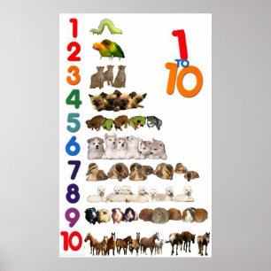 poster de 1 - 10 números