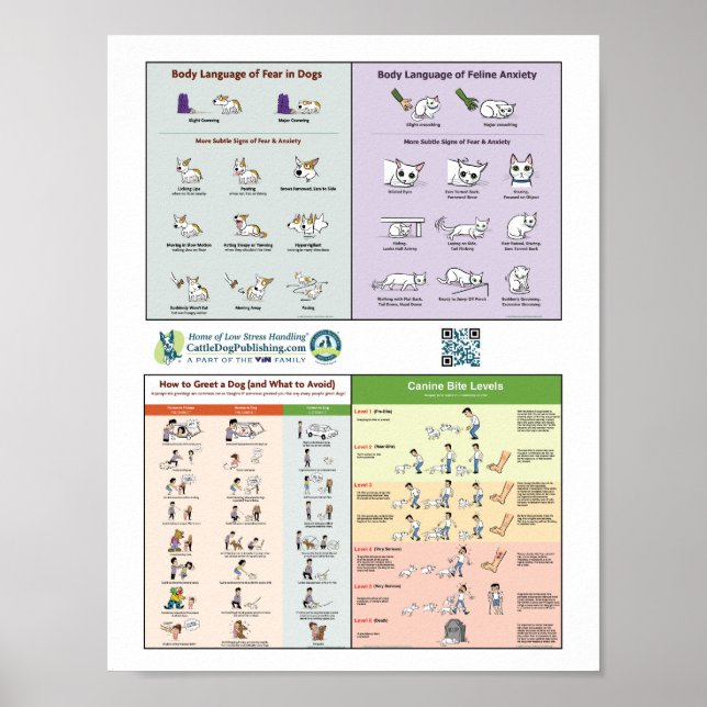 poster de 4 em 1 (Frente)