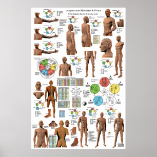 Poster de Acupuntura Meridian Points e Pathways
