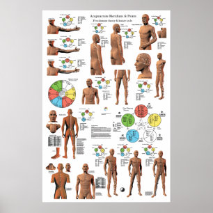 Poster de Acupuntura Meridian Points e Pathways