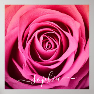 Poster de Adição de Nome de Flor Rosa Rosa Elega