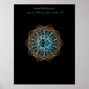 Poster de ADN humano