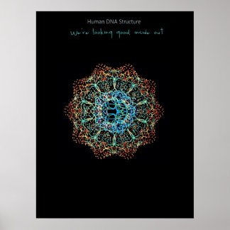Poster de ADN humano