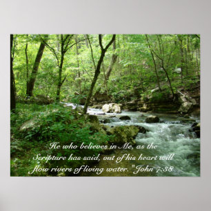 Poster de água viva