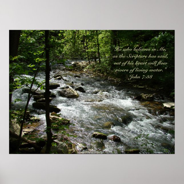 Poster de Água Viva II (Frente)