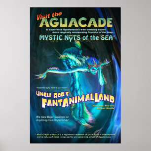 Poster de Aguacade
