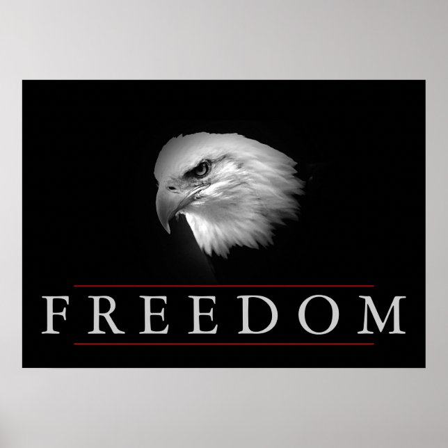 Poster de Águia Preta para Liberdade Branca Sem Ca (Frente)