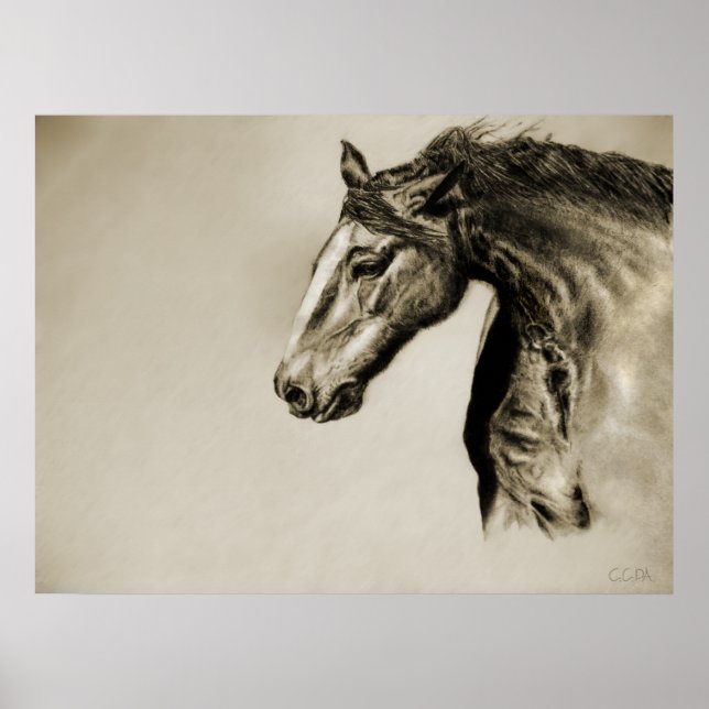 Poster de alma (Frente)