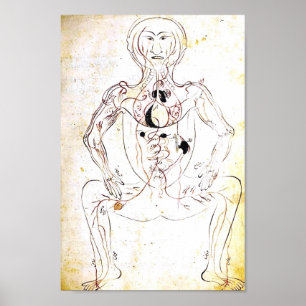 Poster de Anatomia Persa do Século 13 Vintage