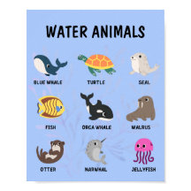 Poster de Animais da Água