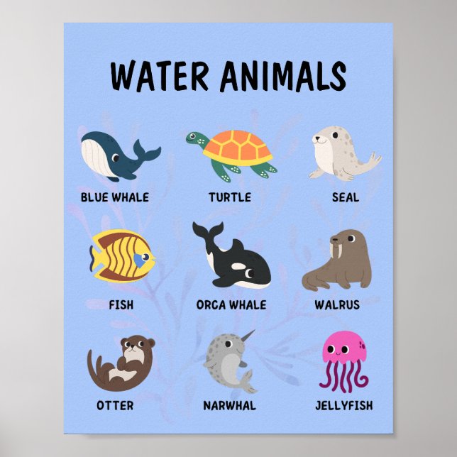 Poster de Animais da Água (Frente)