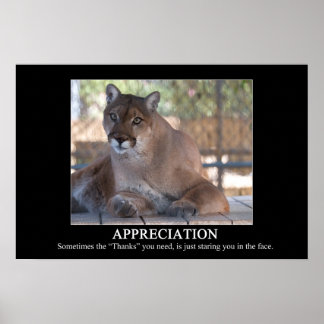 Poster de Apreciação