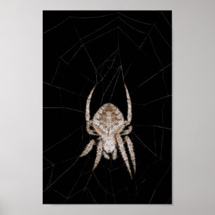 Poster de aranha de orbe