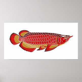 poster de arowana