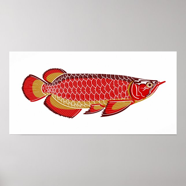 poster de arowana (Frente)