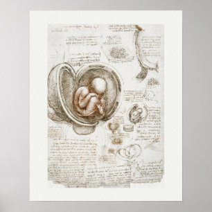 POSTER de ART: LEONARDO DA VINCI : ESTUDO 1510 - 1