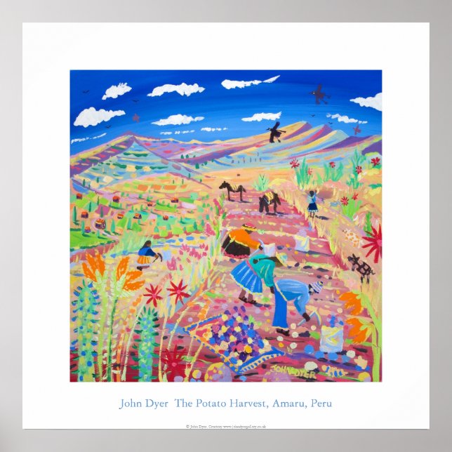 Poster de Arte: A Colheita de Batata, Amaru, Peru (Frente)