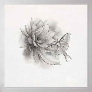Pôster de Arte a Lápis da Mariposa Luna Minimalist