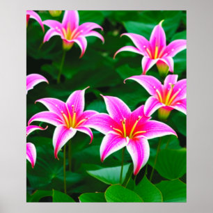 Poster de Arte AI dos Lírios Lily
