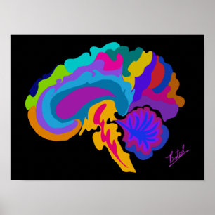 Poster de arte cerebral preenchida a cores