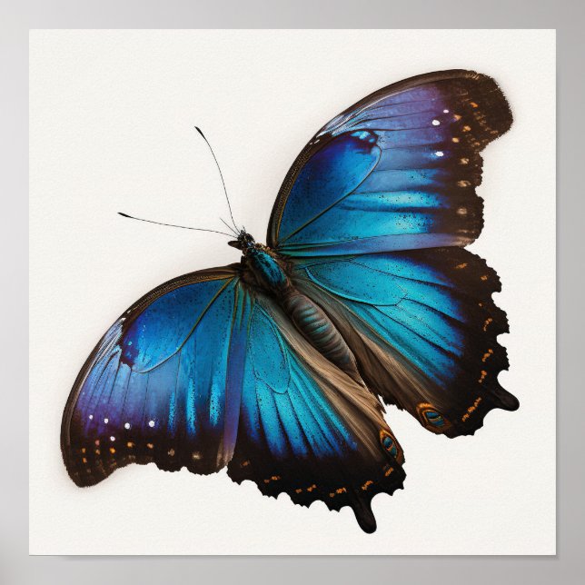 Pôster de Arte da Borboleta Morfo Azul (Frente)