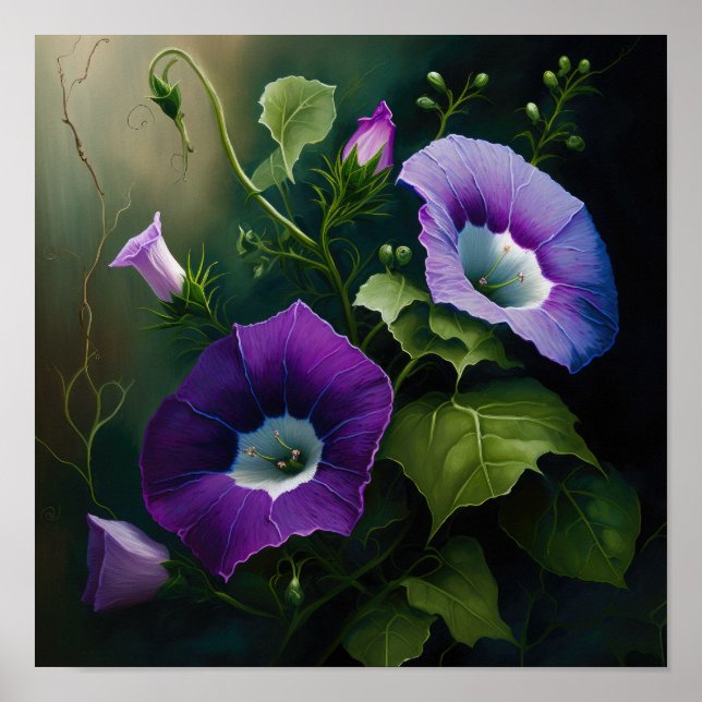 Pôster de Arte da Flor de Ipomoea Purpurea (Frente)
