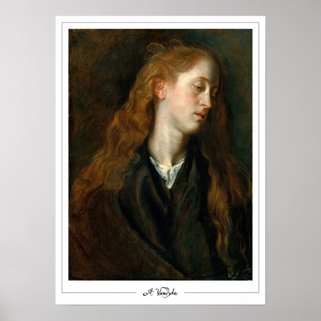 Pôster de arte de Anthony van Dyck Zedign #140 (Frente)