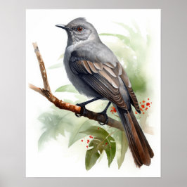 Poster de Arte de Aves Catbird