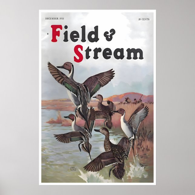Pôster de Arte de Caça ao Pato da Capa Field And S (Frente)