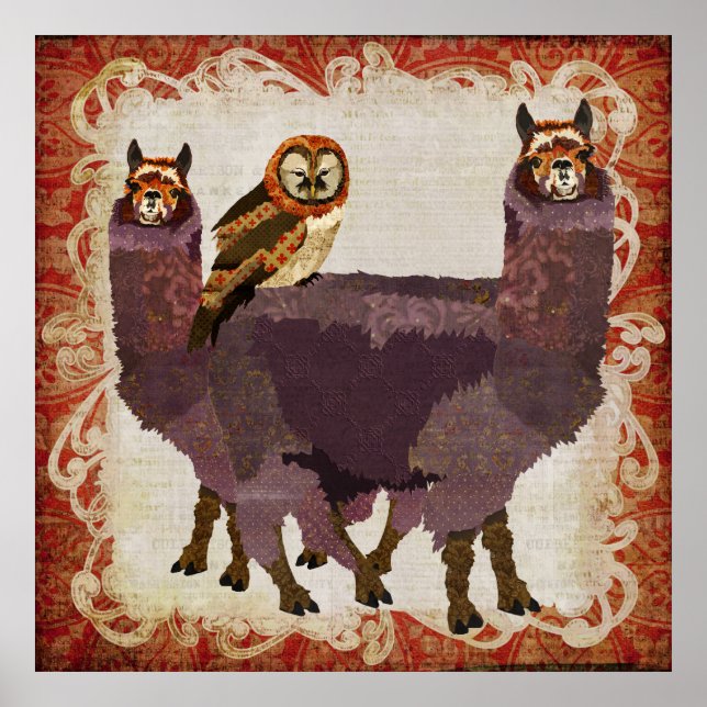 Poster de Arte de Coruja Amber Roxo Alpacas (Frente)