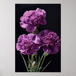 Pôster de Arte de Flor de Cravos Roxos